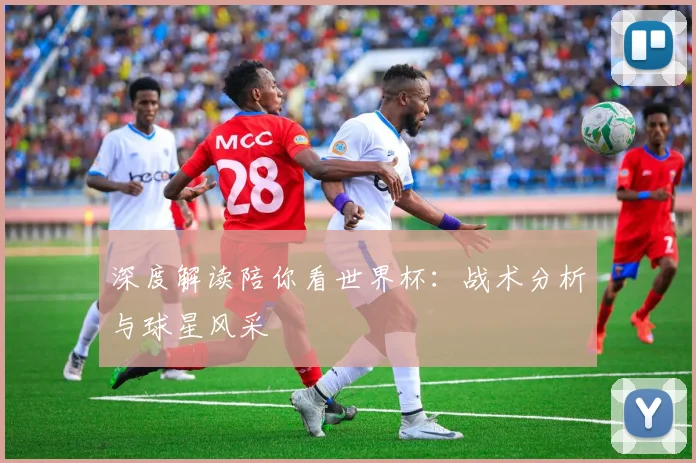 深度解读陪你看世界杯：战术分析与球星风采