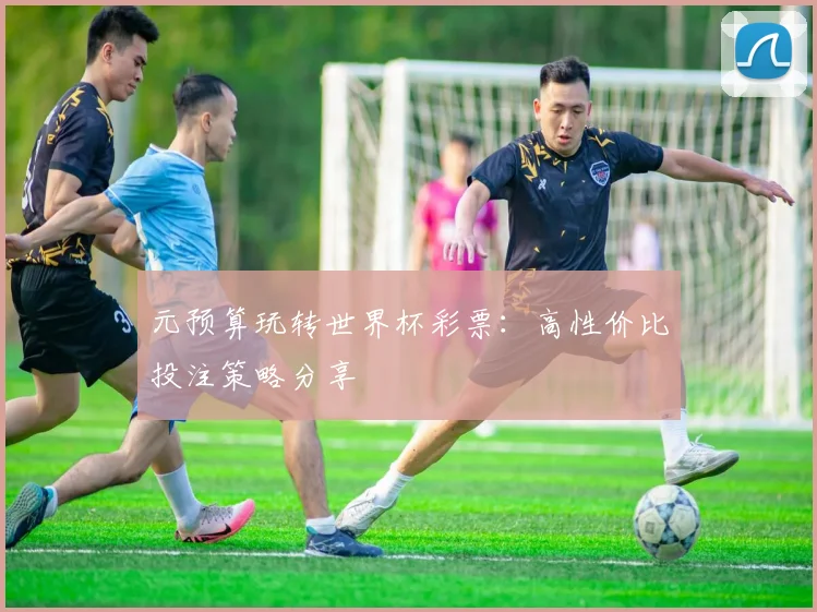 元预算玩转世界杯彩票：高性价比投注策略分享