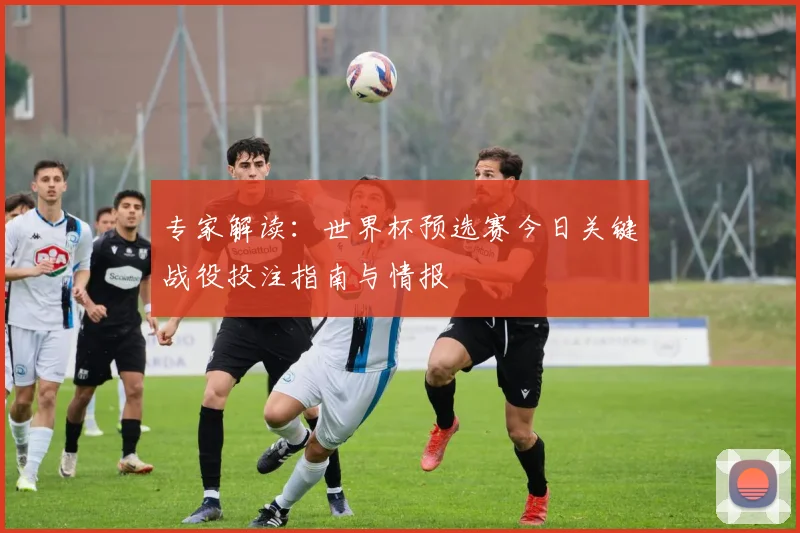专家解读:世界杯预选赛今日关键战役投注指南与情报