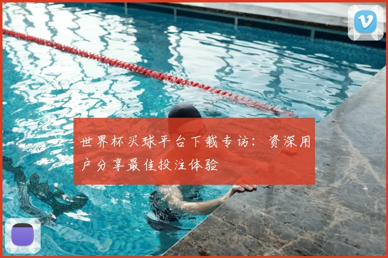 世界杯买球平台下载专访：资深用户分享最佳投注体验