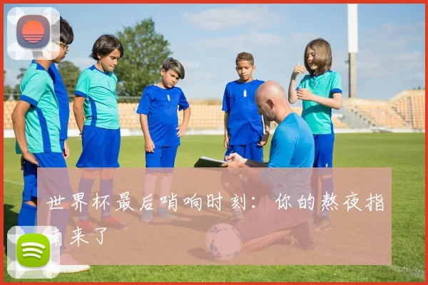 世界杯最后哨响时刻：你的熬夜指南来了