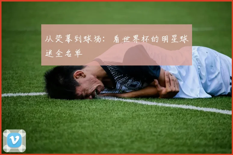 从荧幕到球场：看世界杯的明星球迷全名单