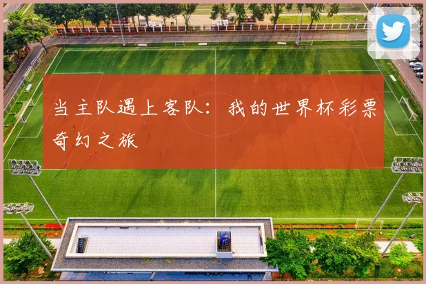 当主队遇上客队：我的世界杯彩票奇幻之旅