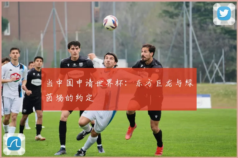 当中国申请世界杯：东方巨龙与绿茵场的约定