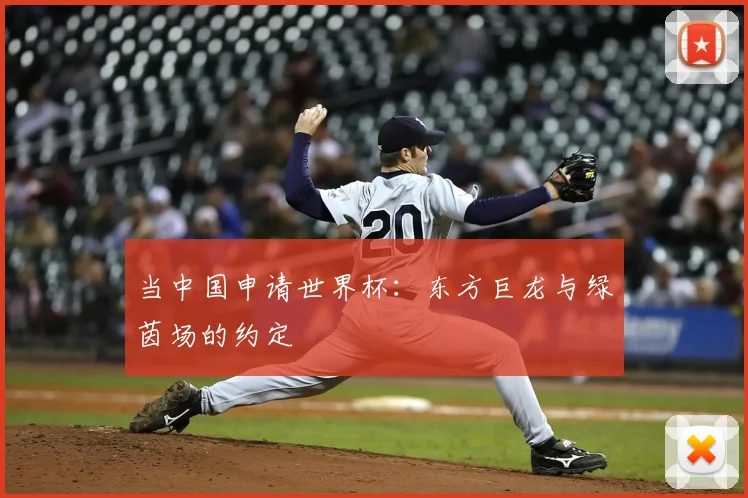 当中国申请世界杯：东方巨龙与绿茵场的约定