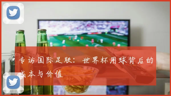 专访国际足联：世界杯用球背后的成本与价值