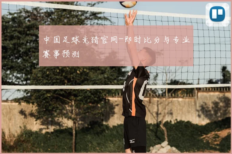 中国足球竞猜官网-即时比分与专业赛事预测