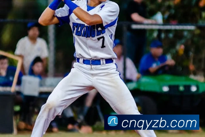 爱游戏手机软件官网服务体系